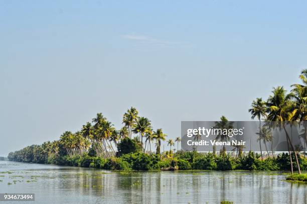 alleppey backwaters/alappuzha/kerala - laguna de kerala - fotografias e filmes do acervo