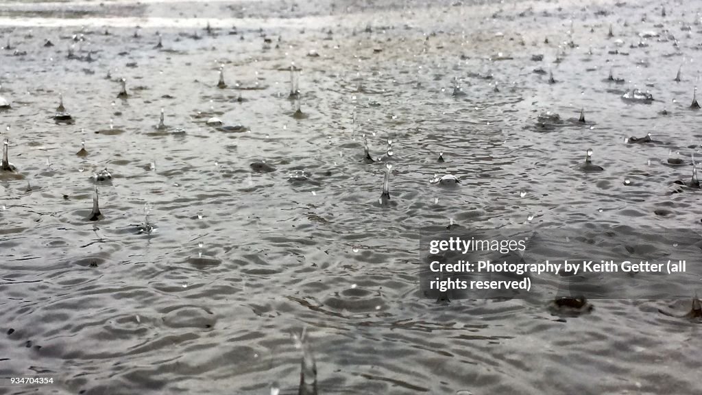 Close-up of a large puddle of water with splashing raindrops during a downpour