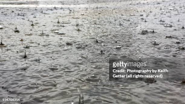 close-up of a large puddle  of water with splashing raindrops during a downpour - chuva imagens e fotografias de stock