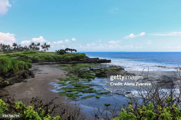 landscape in bali - alena zvereva stock-fotos und bilder