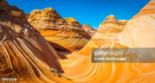 l'iconica formazione desertica wave coyote buttes arizona panorama usa - paria canyon foto e immagini stock