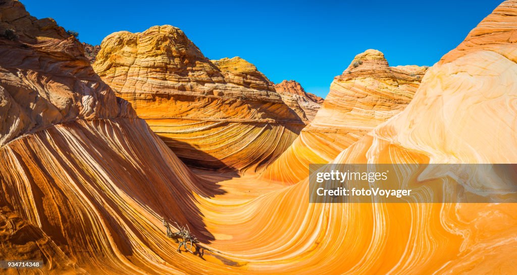 The Wave iconic desert formation Coyote Buttes Arizona panorama USA