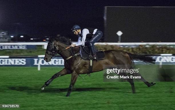 Hugh Bowman on Winx has his first ride back after a race fall during a Rosehill Trackwork Session at Rosehill Gardens on March 20, 2018 in Sydney,...