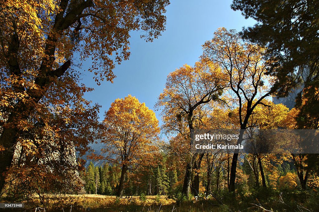 Autumn Yosemite