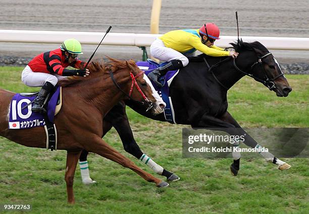 Jockey Christophe Lemaire of France aboard Vodka leads jockey Hiroyuki Uchida of Japan aboard Oken Bruce Lee across the line to win in the 29th Japan...