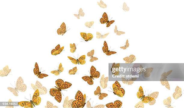 295点の虫の群れイラスト素材 Getty Images 295点の虫の群れイラスト素材 Getty Images