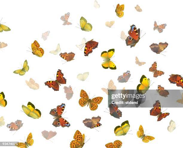 photo of red, orange, and yellow butterflies - swarm stock illustrations