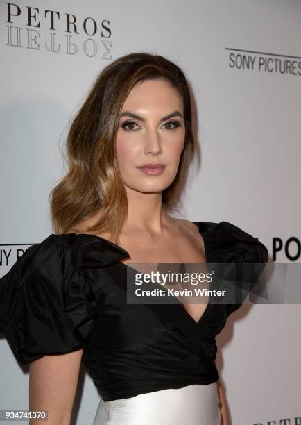 Elizabeth Chambers attends the premiere of Sony Pictures Classics' "Final Portrait" at Pacific Design Center on March 19, 2018 in West Hollywood,...