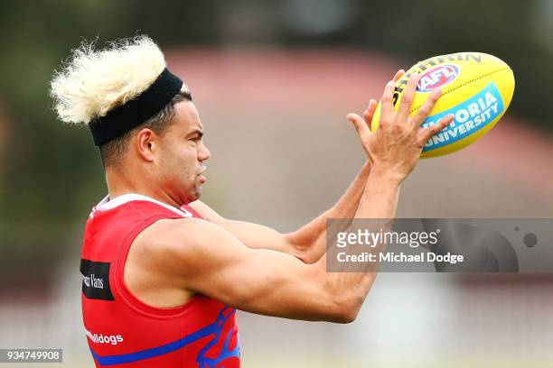 Jason Johannisen of the Bulldogs marks the ball during a Western Bulldogs AFL training session at Whitten Oval on March 20, 2018 in Melbourne,...