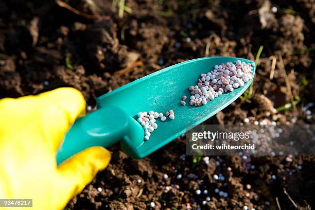 yellow gloved hand holding a green scoop with fertilizer - shovel stockfoto's en -beelden