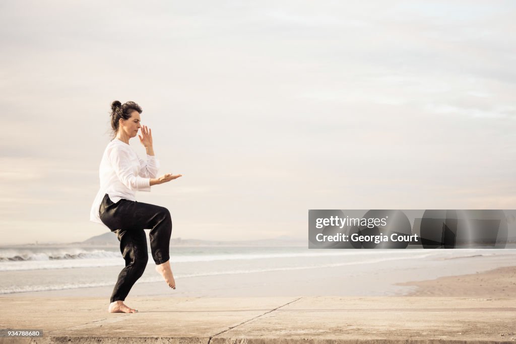 Profile woman poised practicing Wu Tai Chi full frame on a concrete pier sunset behind her