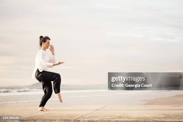 profile woman poised practicing wu tai chi full frame on a concrete pier sunset behind her - chinese martial arts stock pictures, royalty-free photos & images