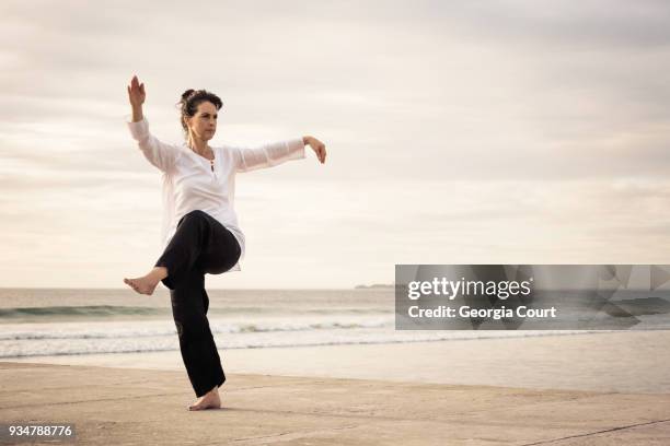 woman standing poised practicing wu tai chi on the end of a concrete pier sunset behind - tai chi imagens e fotografias de stock