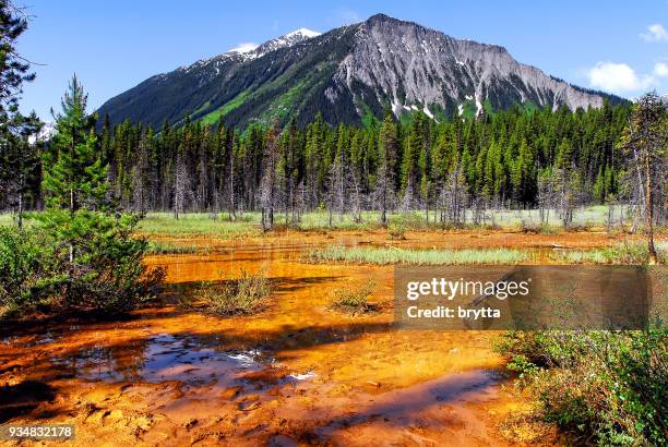 paints pots in kootenay national park, bc,canada. - iron ore stock pictures, royalty-free photos & images