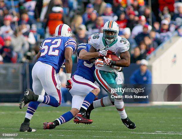 Lousaka Polite of the Miami Dolphins runs as Paul Posluszny and Chris Draft of the Buffalo Bills come in to make the tackle at Ralph Wilson Stadium...