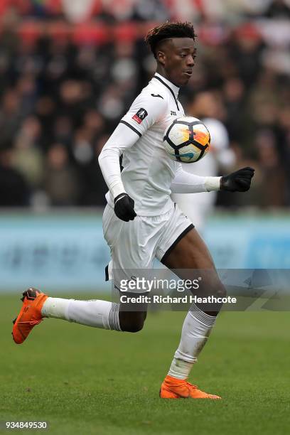 Tammy Abraham of Swansea City during The Emirates FA Cup Quarter Final match between Swansea City and Tottenham Hotspur at Liberty Stadium on March...