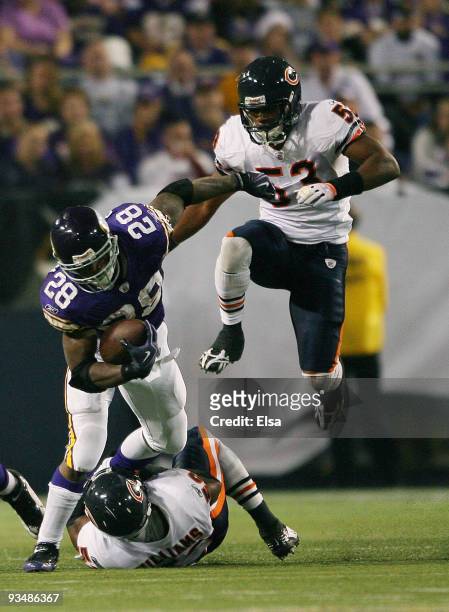 Adrian Peterson of the Minnesota Vikings carries the ball as Jamar Williams and Nick Roach of the Chicago Bears defend on November 29, 2009 at Hubert...
