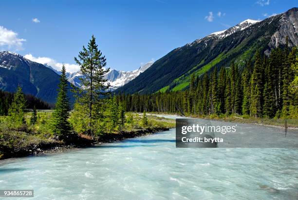 vermilion river in kootenay national park, bc, kanada - kootenay nationalpark stock-fotos und bilder