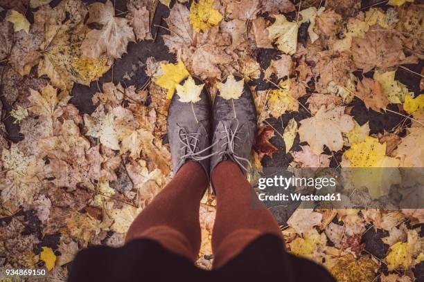 young woman taking selfie of her legs in autumn, partial view - feet selfie woman stockfoto's en -beelden