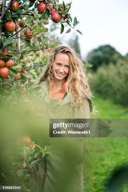 portrait of smiling woman in apple orchard - apple company foto e immagini stock