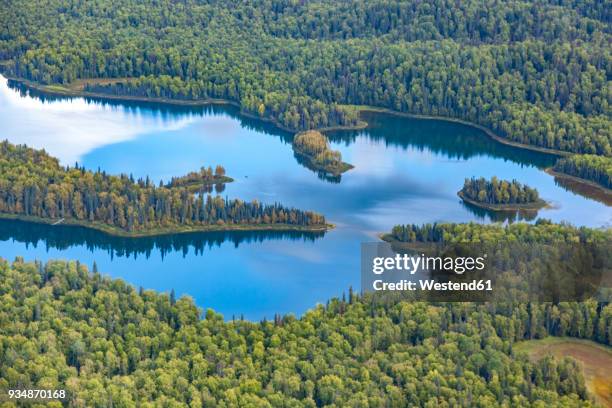 usa, alaska, talkeetna: aerial view of river and forest landscape - talkeetna stock pictures, royalty-free photos & images