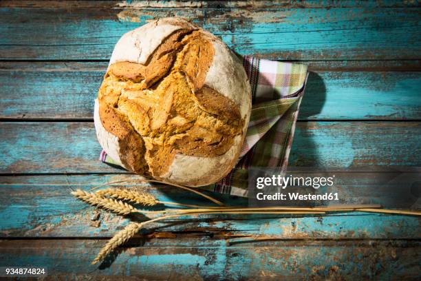 Crusty Things 1,022 Crusty Stock Photos, High-Res Pictures, and Images - Getty Images