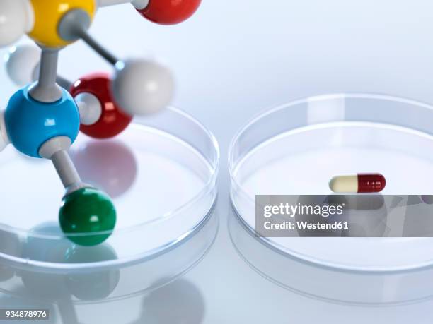 molecular model next to a capsule in petri dishes - advance 2018 exam stock pictures, royalty-free photos & images