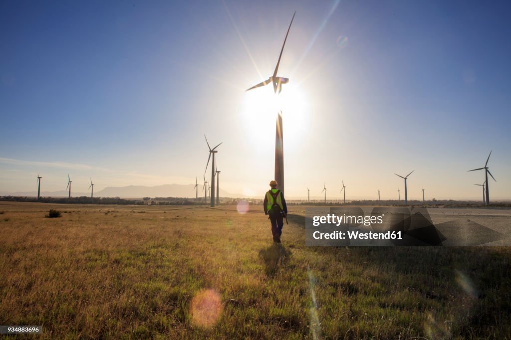 Engineer walking on a wind farm at sunset