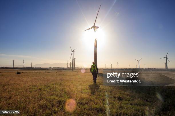 engineer walking on a wind farm at sunset - africa security stock-fotos und bilder