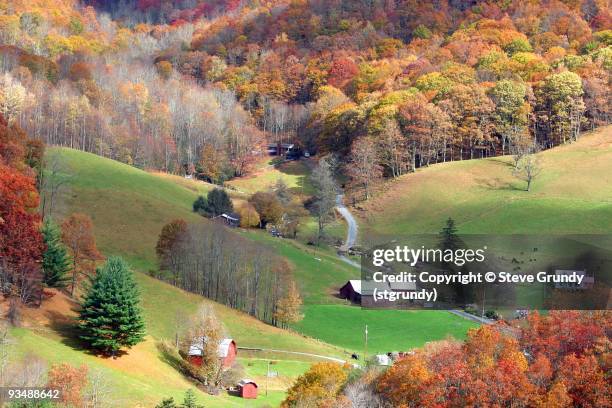 maggie valley - glenmaggie stock pictures, royalty-free photos & images