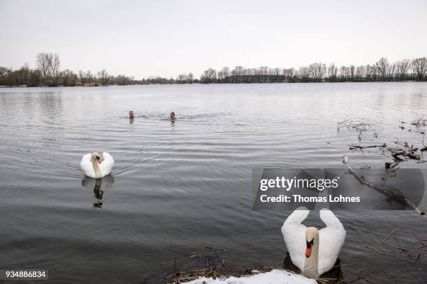 Gustav Meierl and his brother Waldemar Meierl swim in a lake near Biebesheim am Rhein in minus 2 degrees Celcius air temperature on March 19, 2018 in...