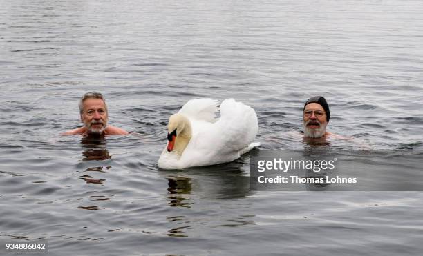 Gustav Meierl and his brother Waldemar Meierl swim in a lake near Biebesheim am Rhein in minus 2 degrees Celcius air temperature on March 19, 2018 in...
