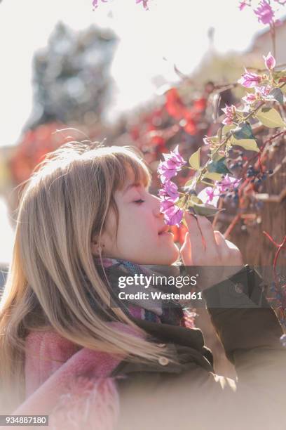 woman smelling flowers outdoors - epitelio nasal fotografías e imágenes de stock