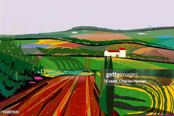 rural landscape with fields, farms and barn illustration - flower stall stock-fotos und bilder