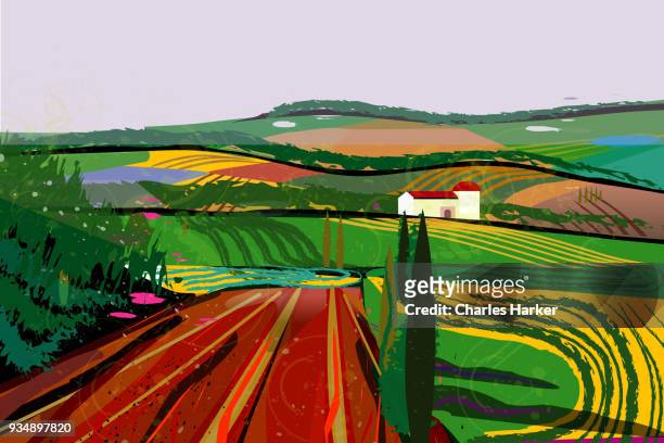 rural landscape with fields, farms and barn illustration - charles harker ストックフォトと画像