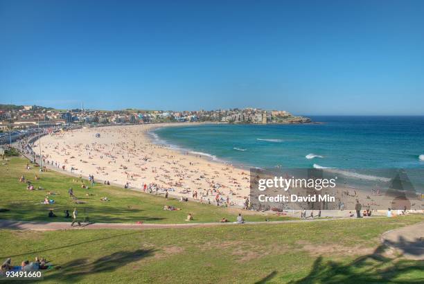 sydney - bondi beach - bondi beach imagens e fotografias de stock