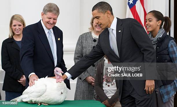 President Barack Obama, alongside his daughter Malia Obama and National Turkey Federation Chairman Walter Pelletier , pet a turkey named Courage...