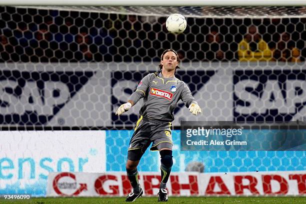 Goalkeeper Timo Hildebrand of Hoffenheim controls the ball during the Bundesliga match between 1899 Hoffenheim and Borussia Dortmund at the...