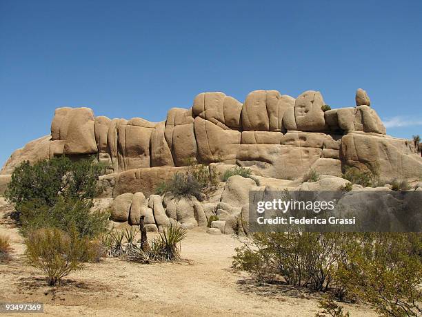 Jumbo Rocks 99 Jumbo Rocks Campground Stock Photos, High-Res Pictures, and Images ...
