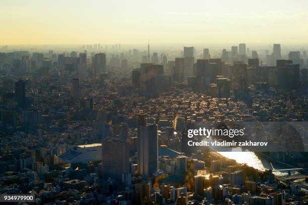 elevated view of tokyo at sunset - chiyoda stockfoto's en -beelden