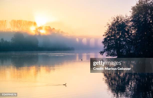 sunrise over the lake - bielefeld 個照片及圖片檔