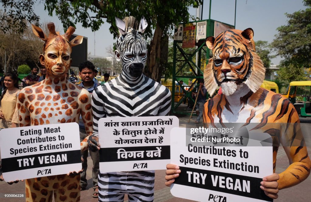 PETA Campaign in New Delhi