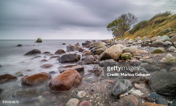 shore - fehmarn stock pictures, royalty-free photos & images