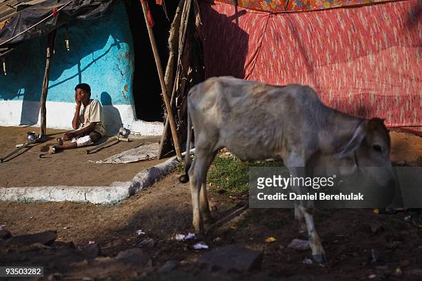 Fifteen year old Sachin Kumar suns himself outside his home in a slum near the site of the deserted Union Carbide factory on November 30, 2009 in...