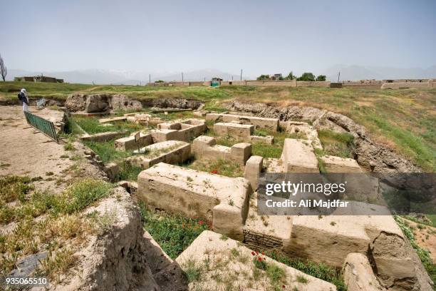 ancient city of hegmataneh (ecbatana) - hamadan fotografías e imágenes de stock