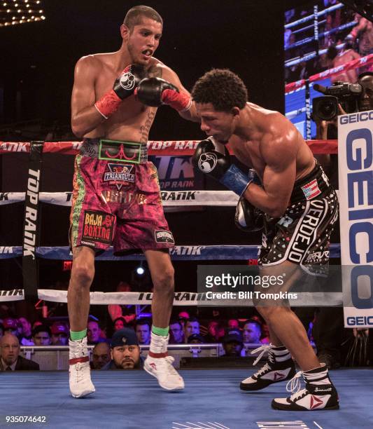 Antonio Lozada Jr defeats Felix Verdejo by TKO in the 10th round in their Lightweight fight at The Hulu Theatre at Madison Square Garden on March 17,...