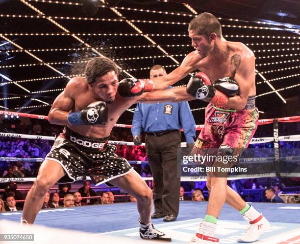 Antonio Lozada Jr defeats Felix Verdejo by TKO in the 10th round in their Lightweight fight at The Hulu Theatre at Madison Square Garden on March 17,...