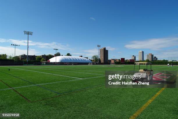 mit college campus, cambridge - baseball trajectory stock pictures, royalty-free photos & images