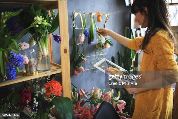 enjoy working with dried plants - dried plant stock pictures, royalty-free photos & images