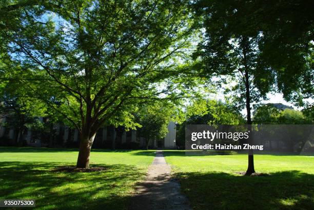 mit college campus, cambridge - civil engineering class stock pictures, royalty-free photos & images